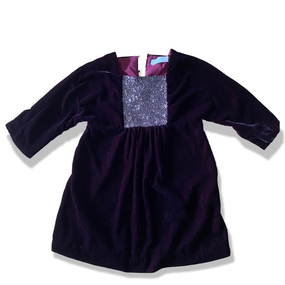 Zara Other - Zara Girls Velvet Winter Fall Holiday Long sleeve Elegant Dress